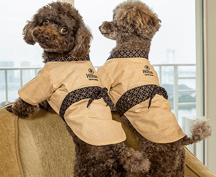 ヒルトン東京お台場