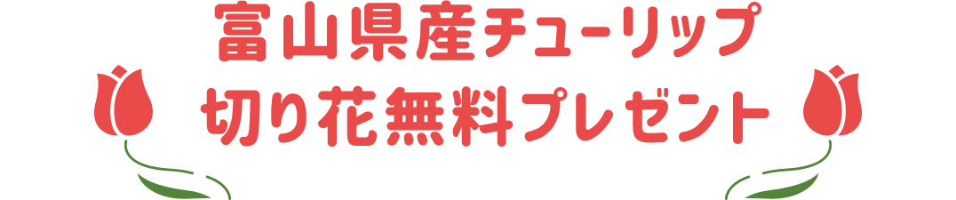 チューリップフェスティバル 東京お台場 Net