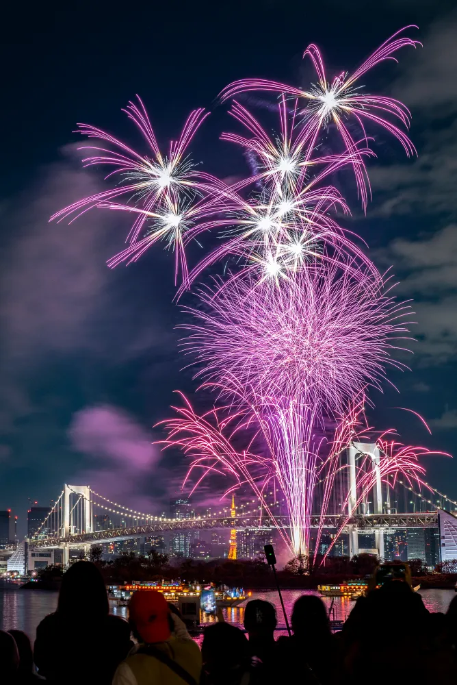 過去の花火写真3