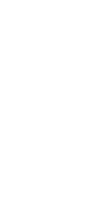 臨海副都心のナイトスポット