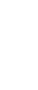 臨海副都心のナイトスポット