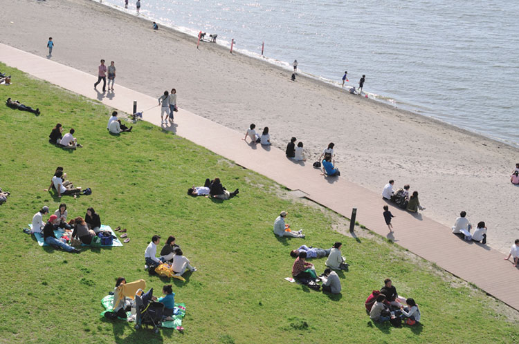 お 台場 海浜 公園