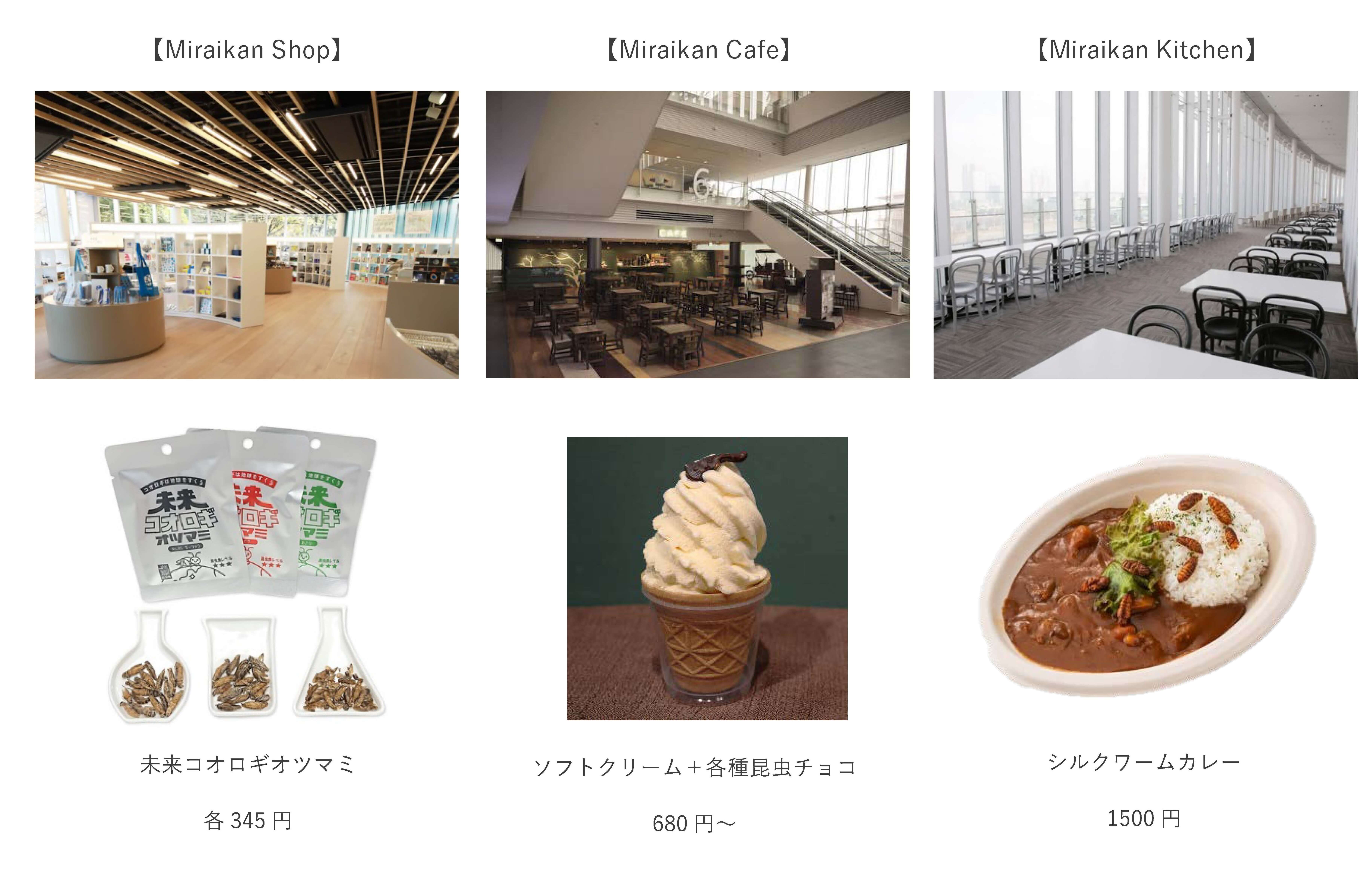 未来食フェア 昆虫 日本科学未来館 東京お台場 Net