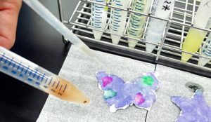 Science Expirement Booth 実験屋台 ~環境コース~ <日本科学未来館> | 東京お台場.net